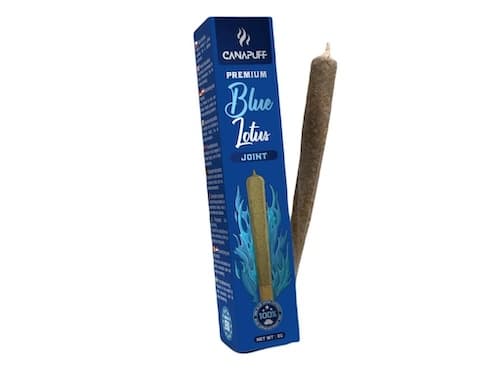 Canapuff Blue Lotus Joint 2g